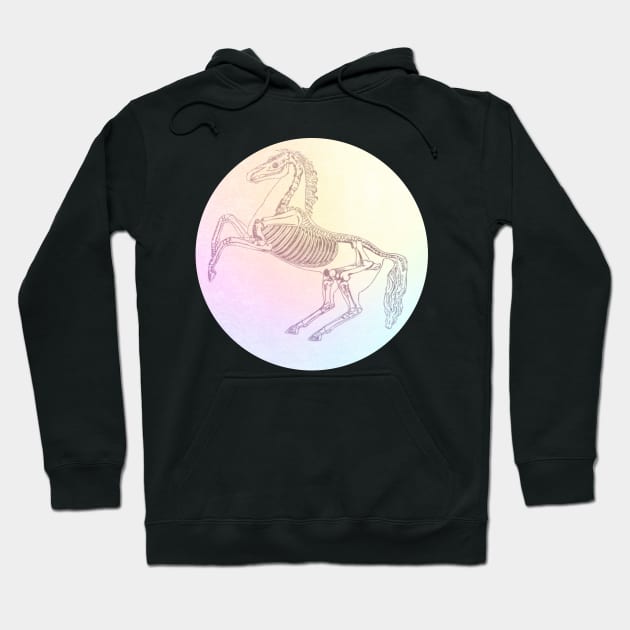 Distressed Grunge Pastel Punk Horse Skeleton T-shirt Hoodie by ichewsyou